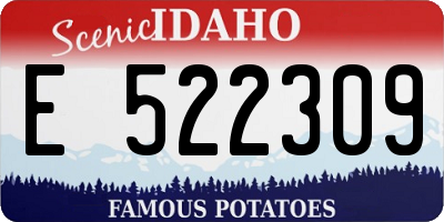 ID license plate E522309