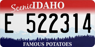 ID license plate E522314