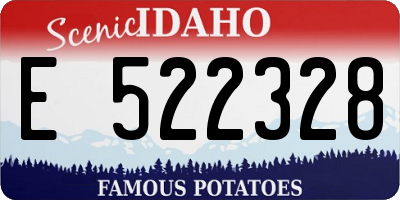 ID license plate E522328