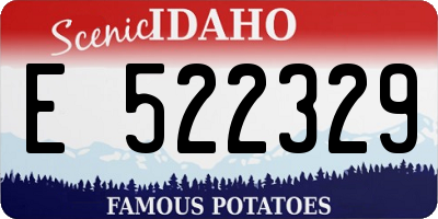 ID license plate E522329