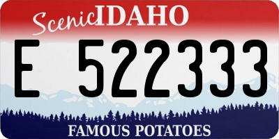 ID license plate E522333