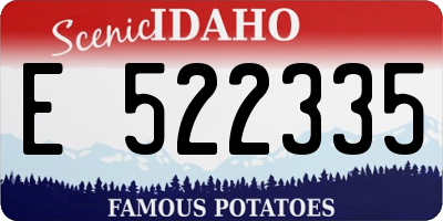 ID license plate E522335