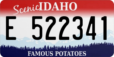 ID license plate E522341