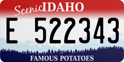 ID license plate E522343