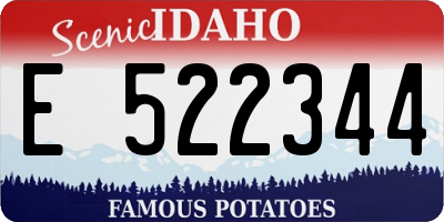 ID license plate E522344