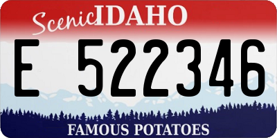 ID license plate E522346