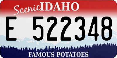 ID license plate E522348
