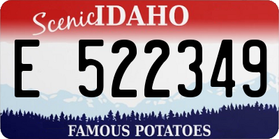 ID license plate E522349