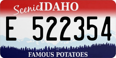 ID license plate E522354