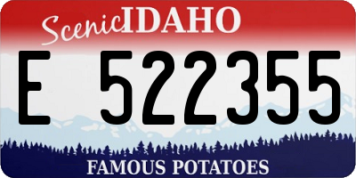 ID license plate E522355