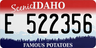 ID license plate E522356