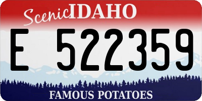 ID license plate E522359
