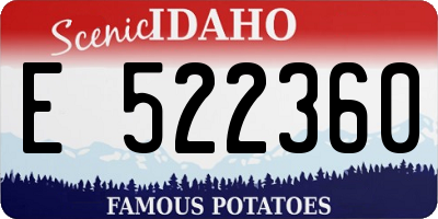 ID license plate E522360