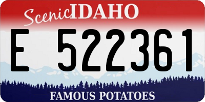 ID license plate E522361