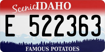 ID license plate E522363