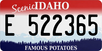 ID license plate E522365