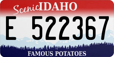 ID license plate E522367