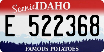 ID license plate E522368