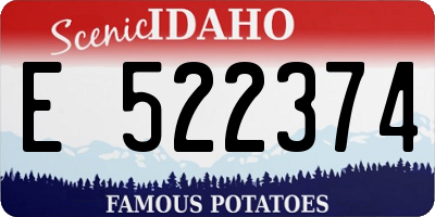 ID license plate E522374
