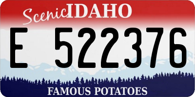 ID license plate E522376