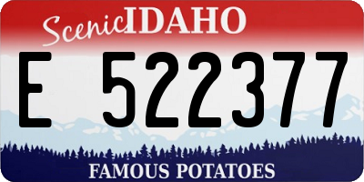 ID license plate E522377