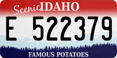ID license plate E522379