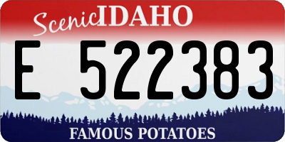 ID license plate E522383