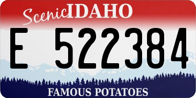 ID license plate E522384