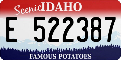 ID license plate E522387
