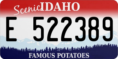 ID license plate E522389