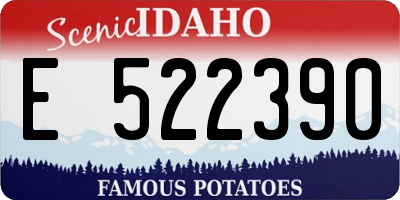 ID license plate E522390