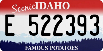 ID license plate E522393