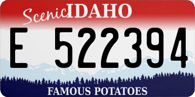ID license plate E522394
