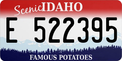 ID license plate E522395