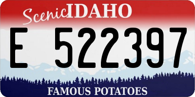 ID license plate E522397