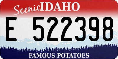 ID license plate E522398