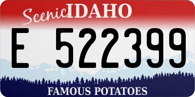 ID license plate E522399