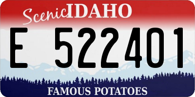 ID license plate E522401