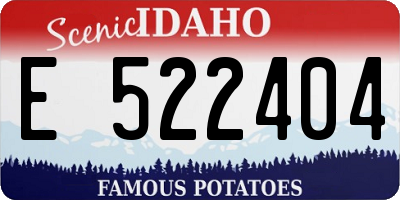 ID license plate E522404
