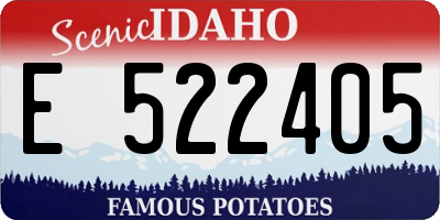 ID license plate E522405