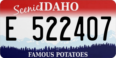 ID license plate E522407