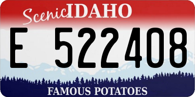 ID license plate E522408