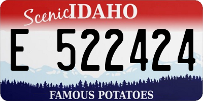 ID license plate E522424