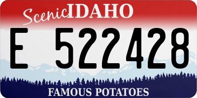 ID license plate E522428