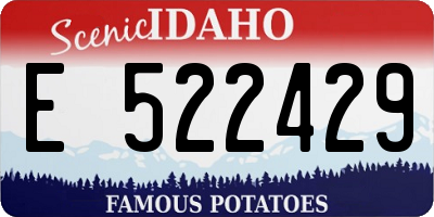 ID license plate E522429