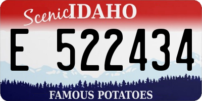 ID license plate E522434