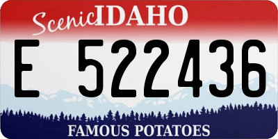 ID license plate E522436
