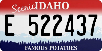 ID license plate E522437