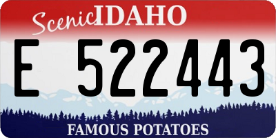 ID license plate E522443
