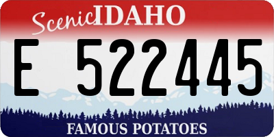 ID license plate E522445
